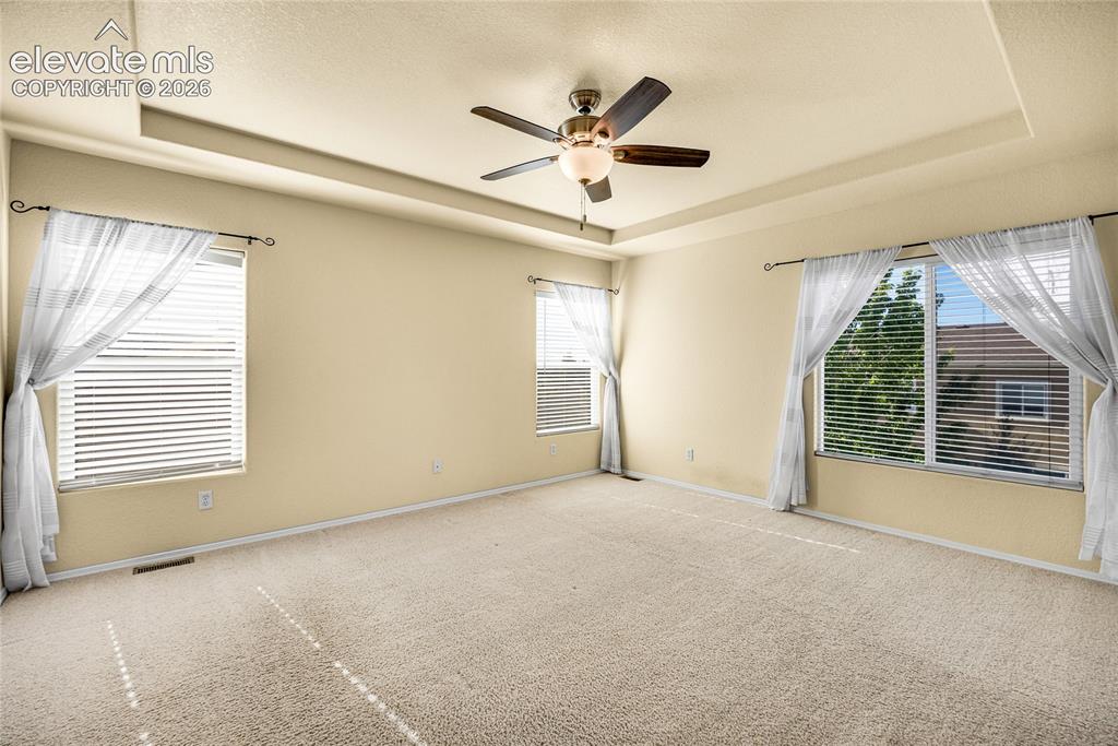 Image 17 of 39: Spacious room featuring tray ceilings, neutral carpeting, and multiple wind