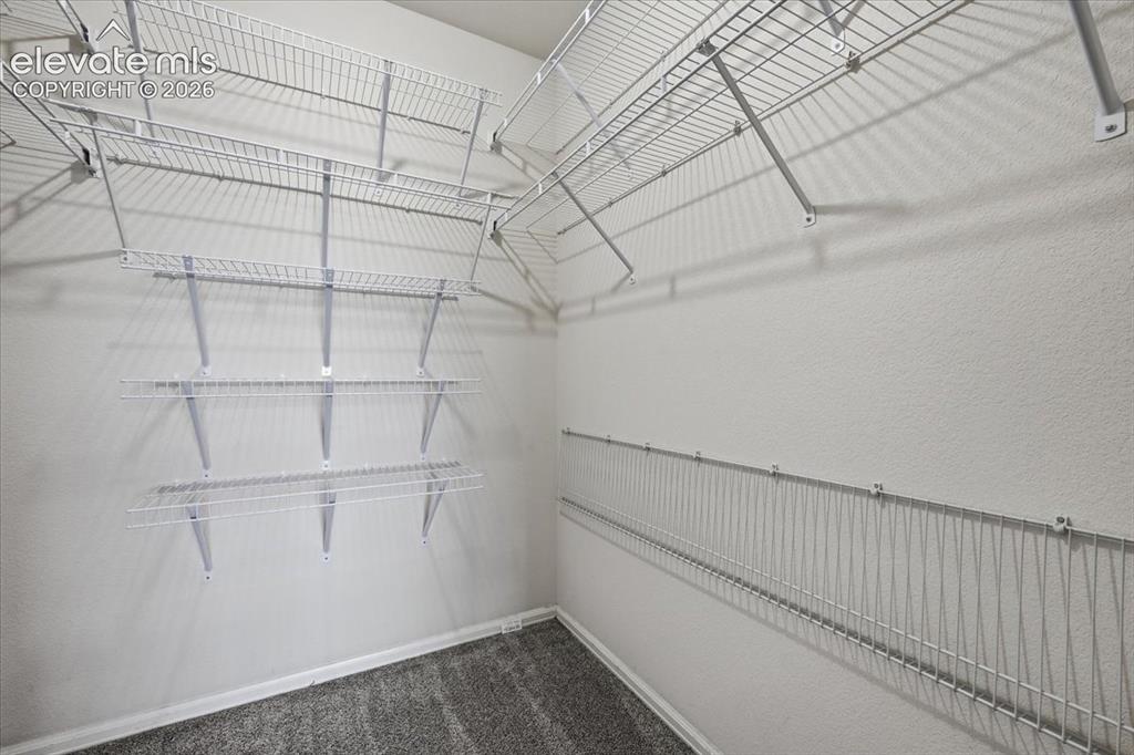 Image 22 of 26: Walk-in closet featuring wire shelving and carpet flooring