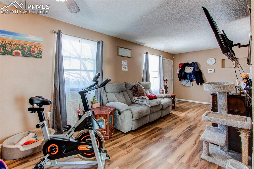 Image 6 of 36: Living room featuring hardwood / wood-style floors and a textured ceiling