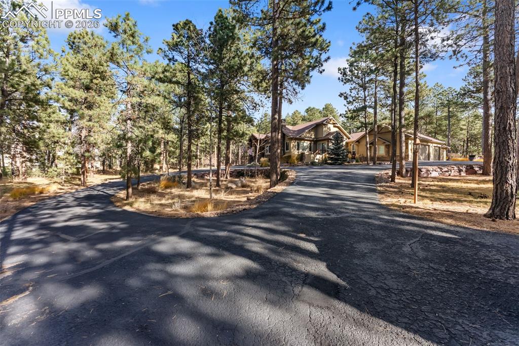 Image 4 of 50: Circular asphalt driveway with view of pine trees