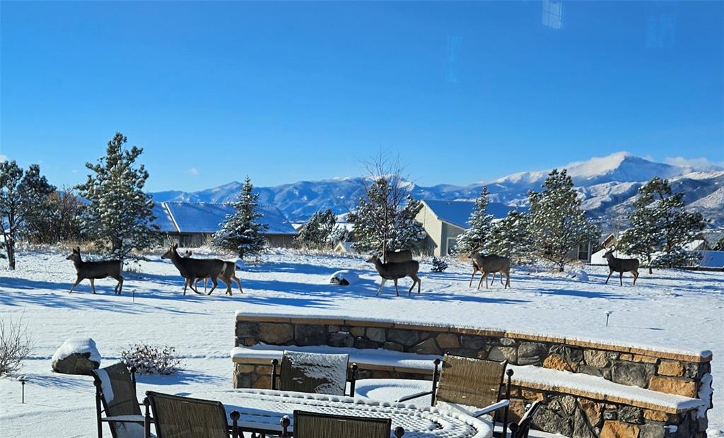 Image 50 of 50: Peaceful wildlife with Pikes Peak as the backdrop.