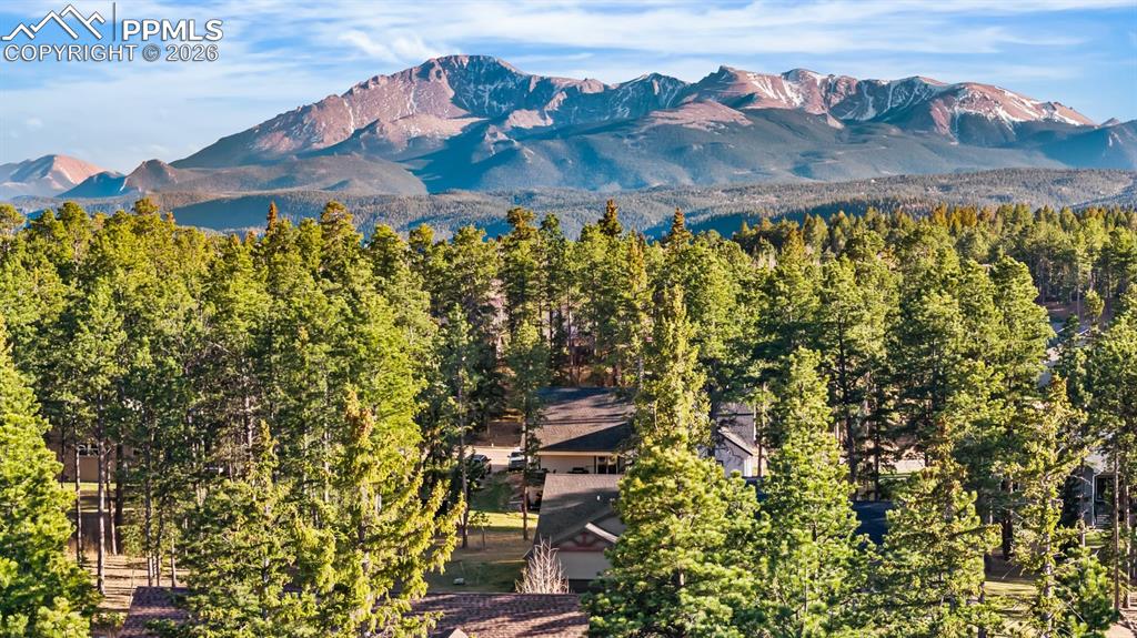 Image 50 of 50: View