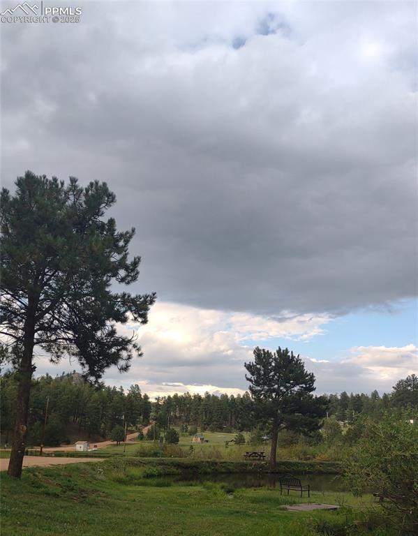 Image 41 of 44: from the other direction.