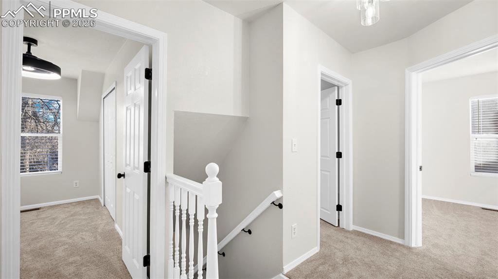 Image 30 of 40: Other