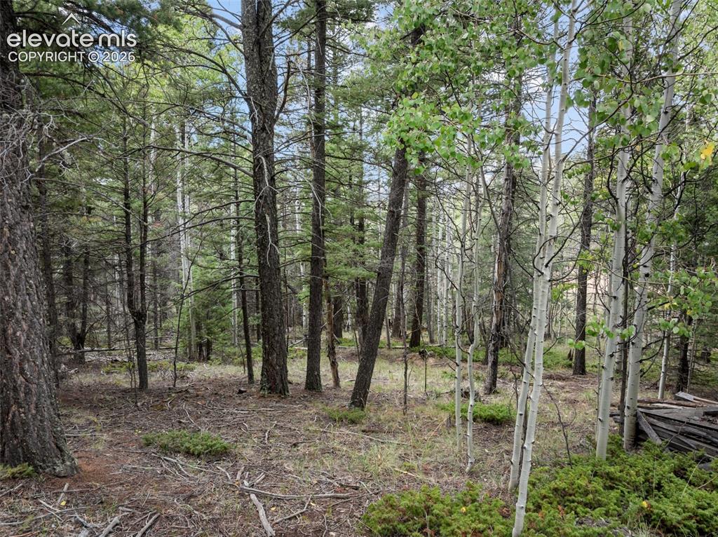 Image 6 of 26: Other
