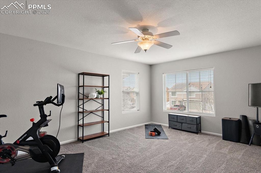 Image 13 of 22: Loft