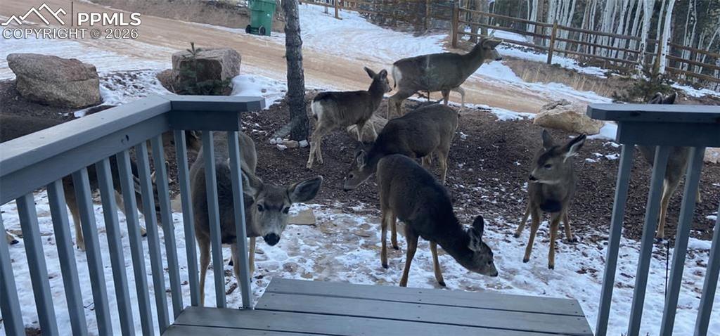 Image 22 of 27: No Description Available