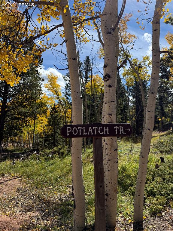 Image 23 of 27: Yard