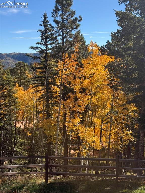 Image 24 of 27: Yard