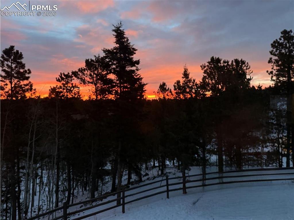 Image 25 of 27: Yard