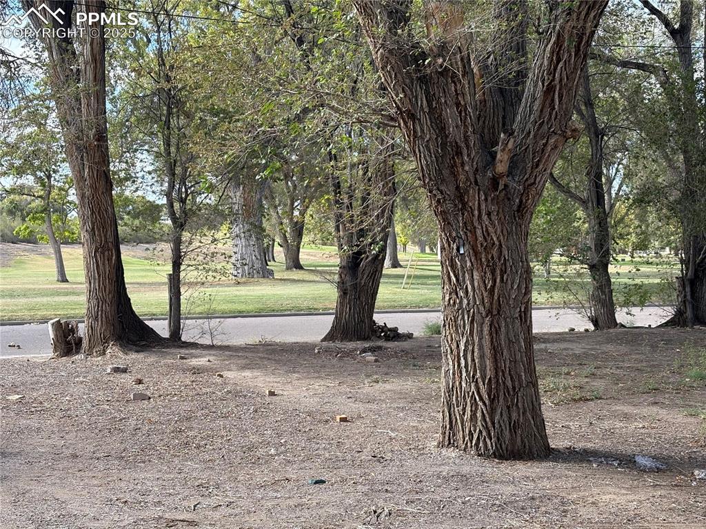 Image 8 of 8: View of grassy yard with view of wooded area