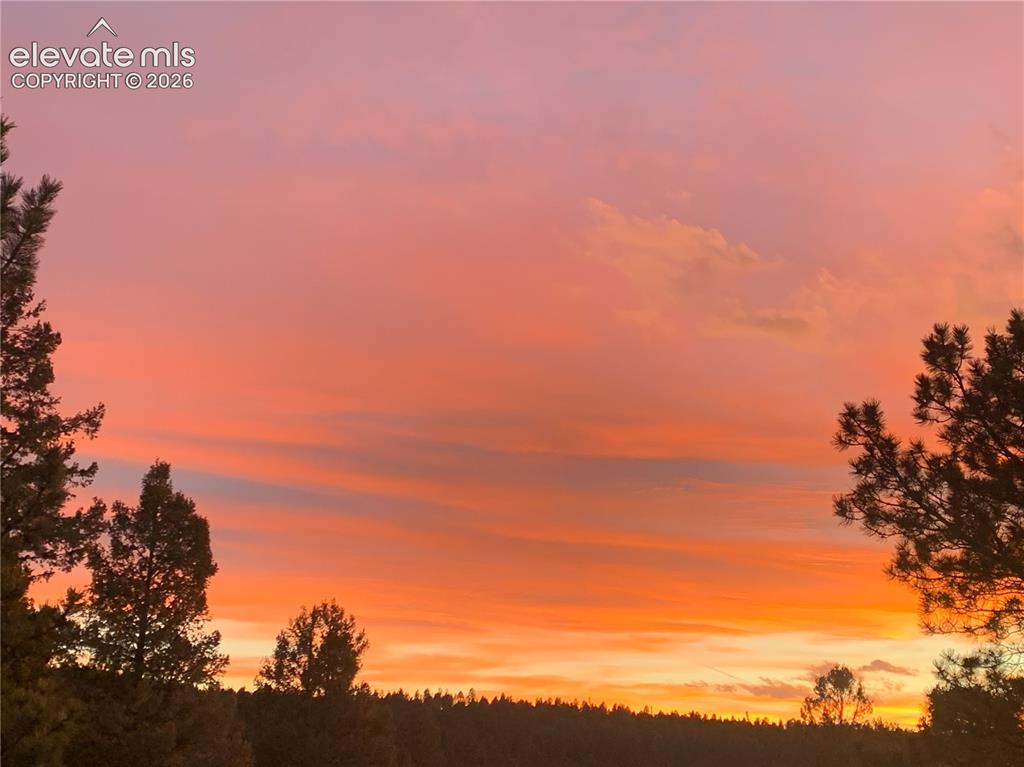 Image 32 of 36: Sunset View off upper deck