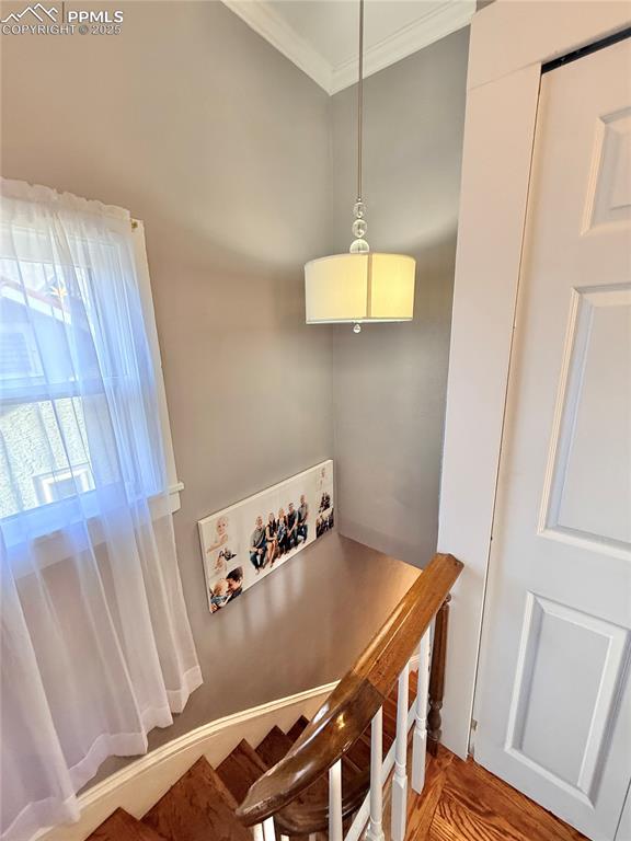 Image 38 of 48: Other