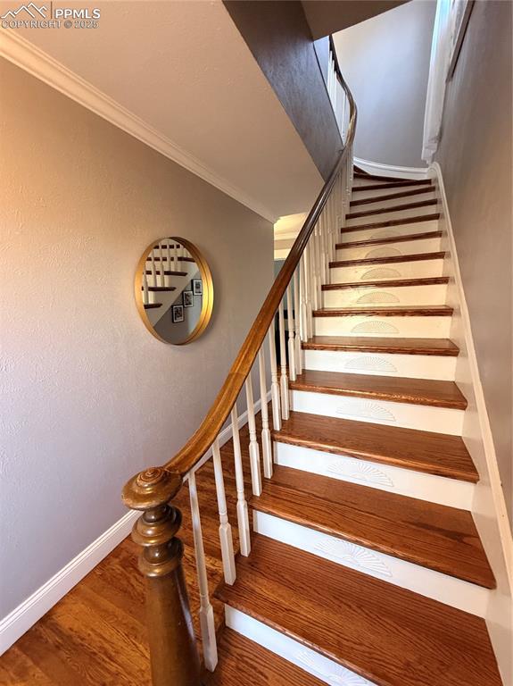 Image 40 of 48: Other