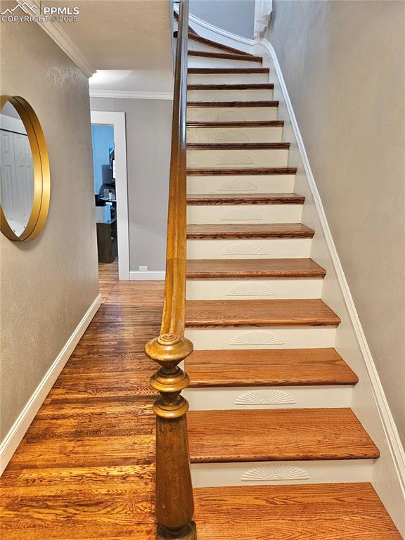 Image 8 of 48: Other