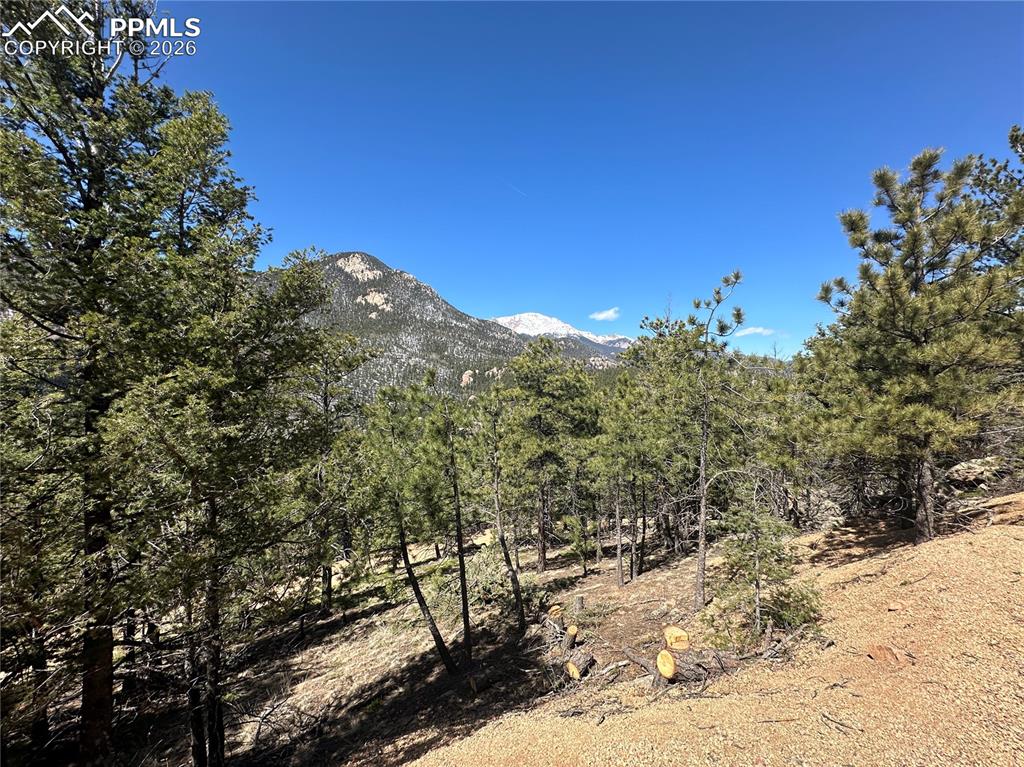 Image 10 of 19: Views from the lot