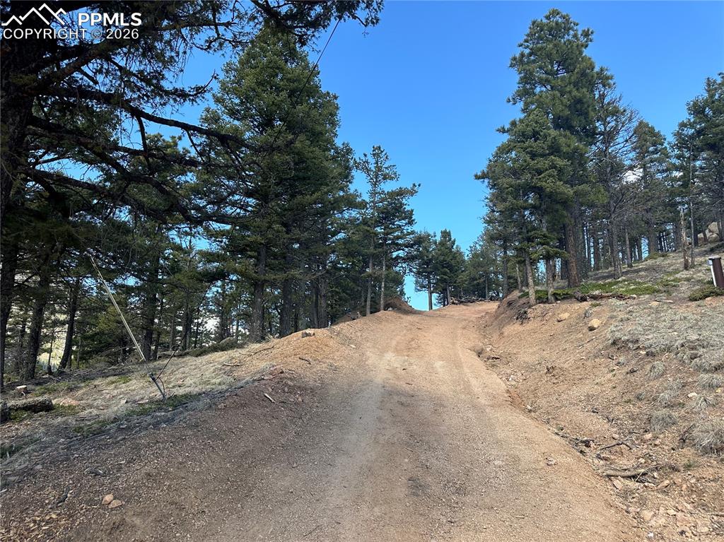 Image 12 of 19: Driveway into lot