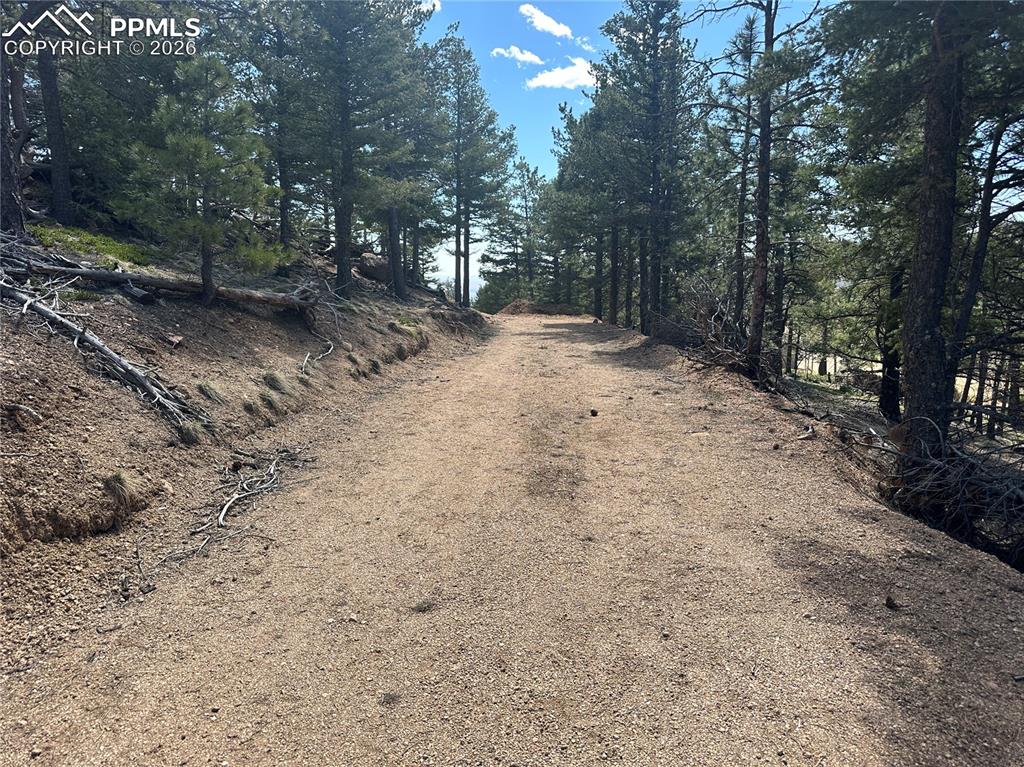 Image 6 of 19: Driveway into Lot