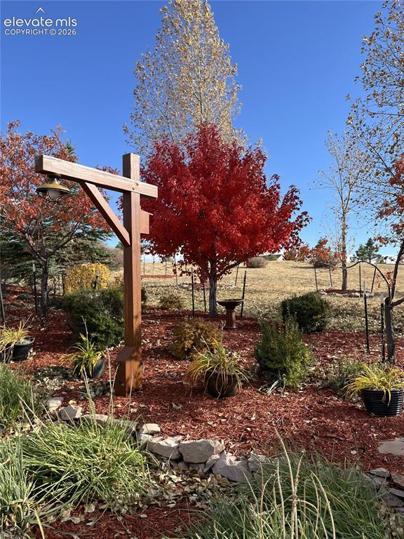 Image 15 of 50: Gorgeous fall colors!