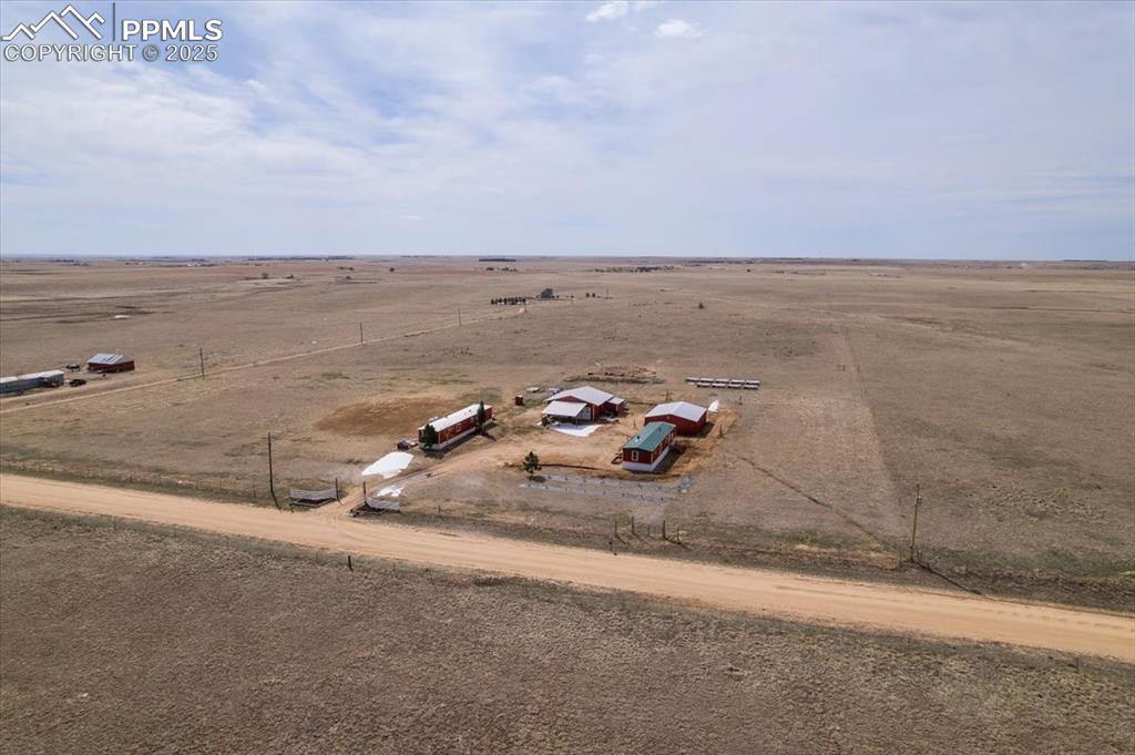 Image 49 of 50: Bird