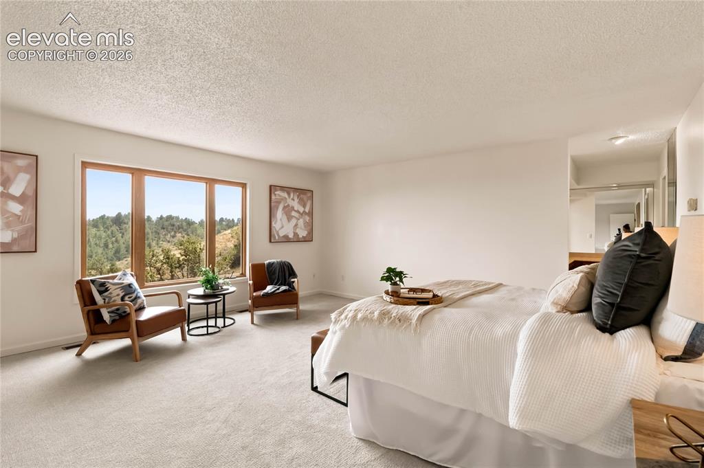Image 19 of 49: Wall-to-wall carpeting and white walls