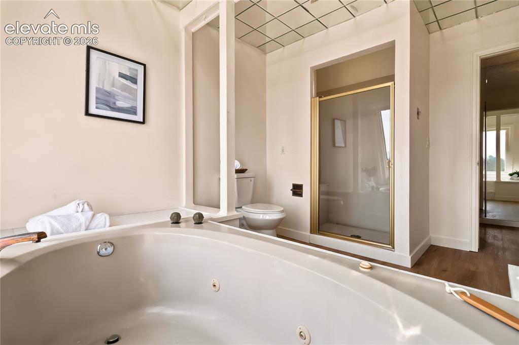 Image 24 of 49: Built-in jetted tub with polished chrome fixtures, glass-enclosed shower wi