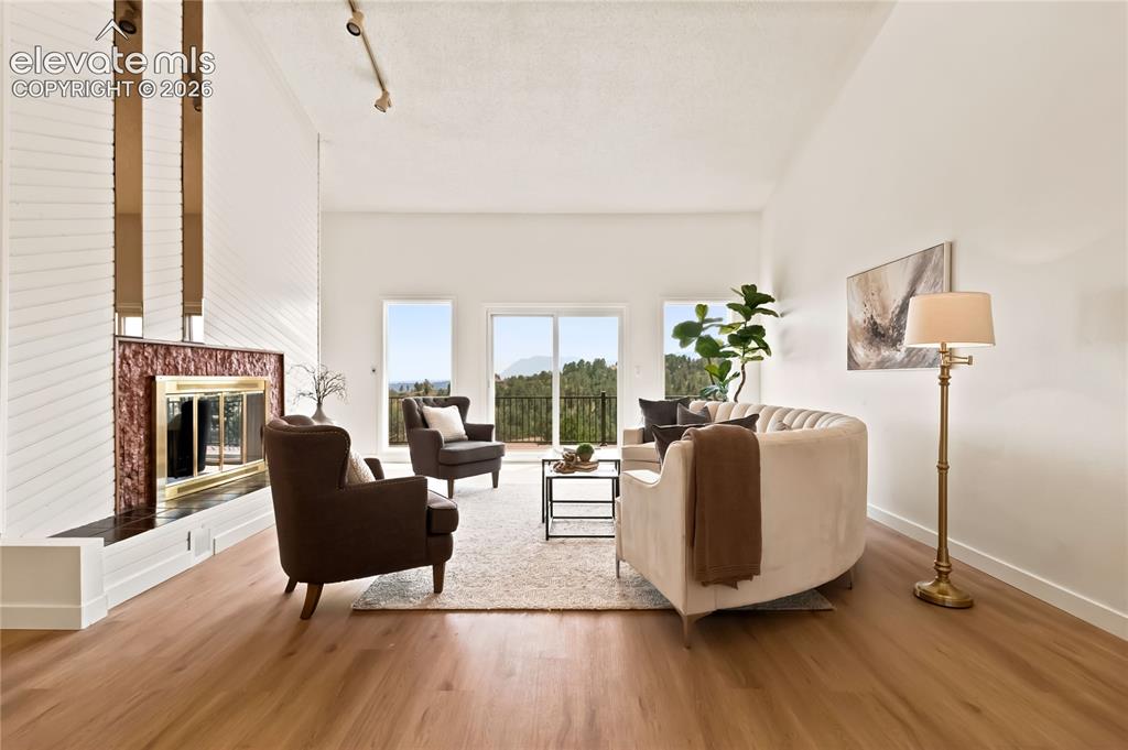 Image 3 of 49: Spacious living area featuring wood-finish flooring, a fireplace with a sto