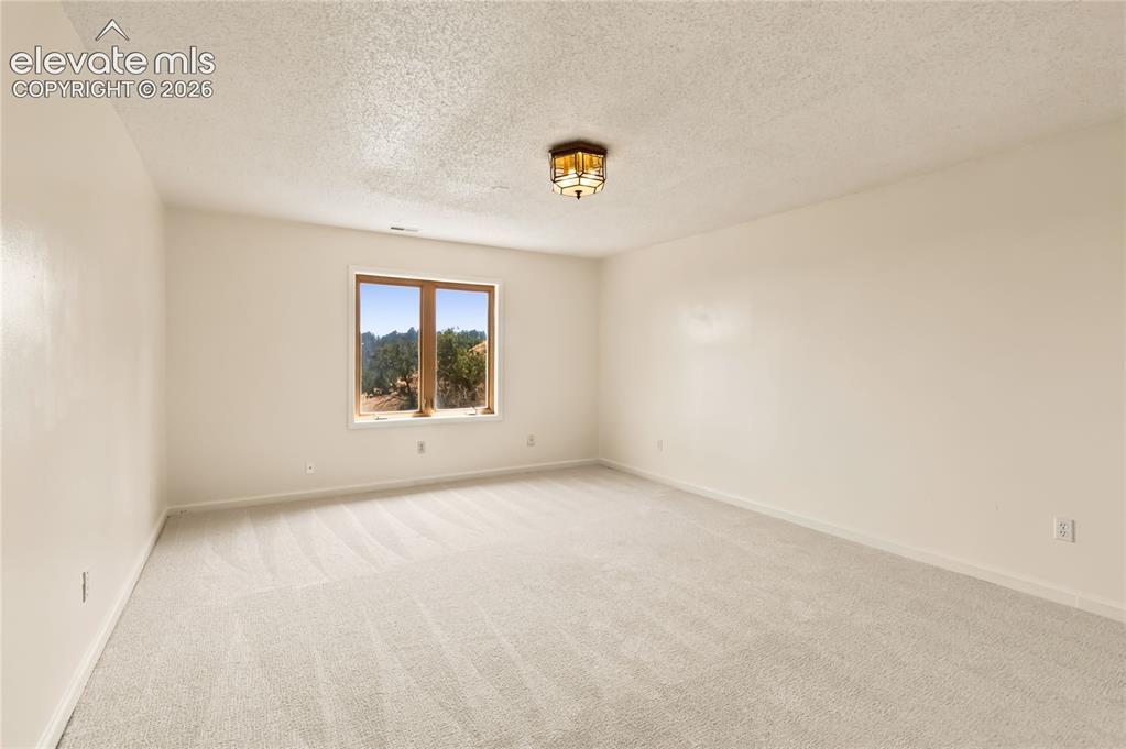 Image 31 of 49: Spacious room featuring neutral carpeting, a large window with natural wood