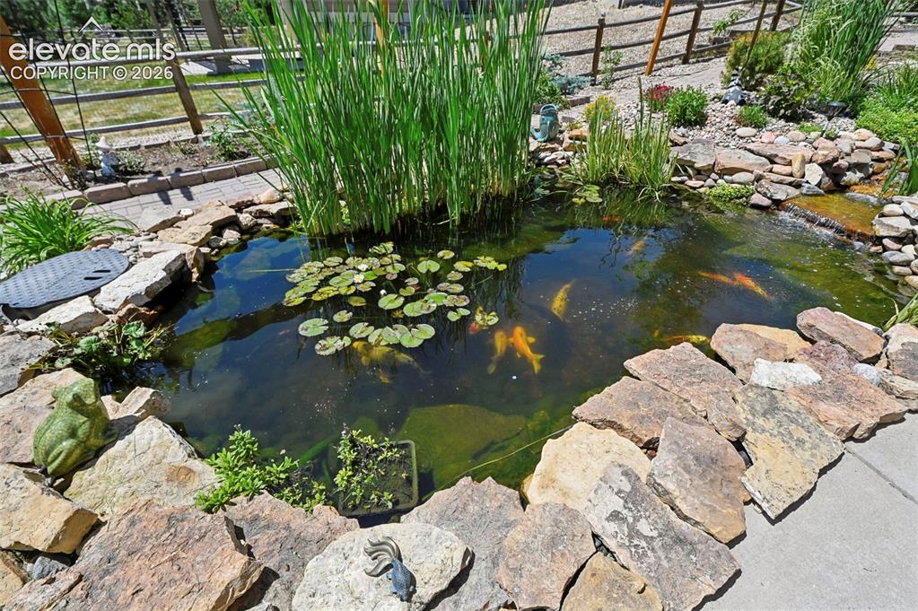 Image 3 of 36: Landscaped pond with natural rock edging, water lilies, and tall aquatic pl