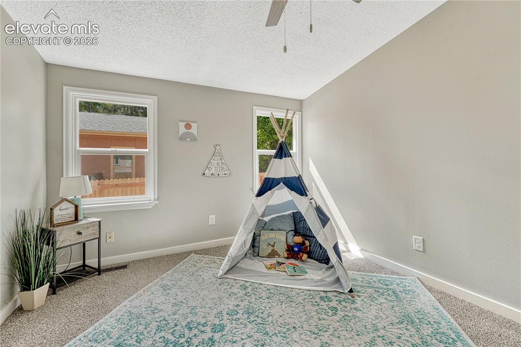 Image 19 of 41: Neutral wall paint, textured ceiling, carpet flooring, two windows, and a c