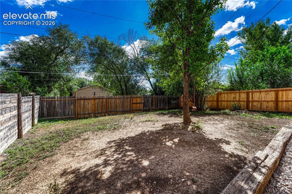 Image 30 of 41: Expansive exterior space featuring a mature tree, natural ground cover, and