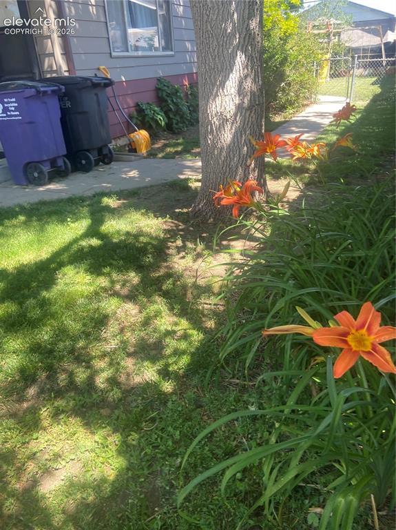 Image 32 of 34: Plants side on East side of house 6