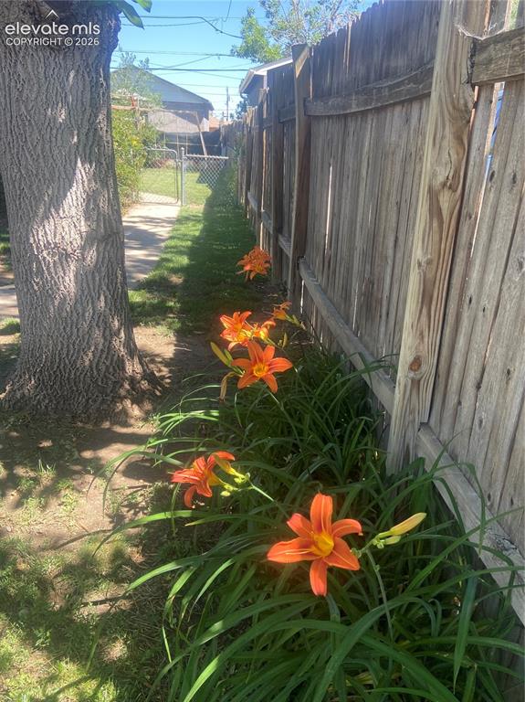 Image 33 of 34: Plants side on East side of house 7