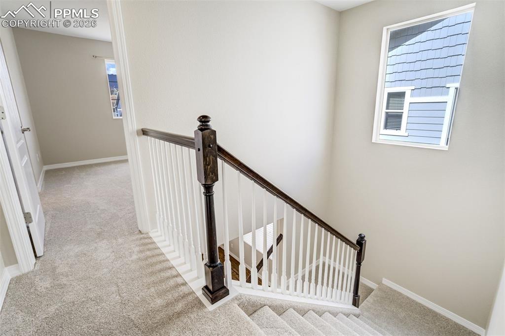 Image 19 of 35: Staircase with brand new carpet. Freshly painted throughout.