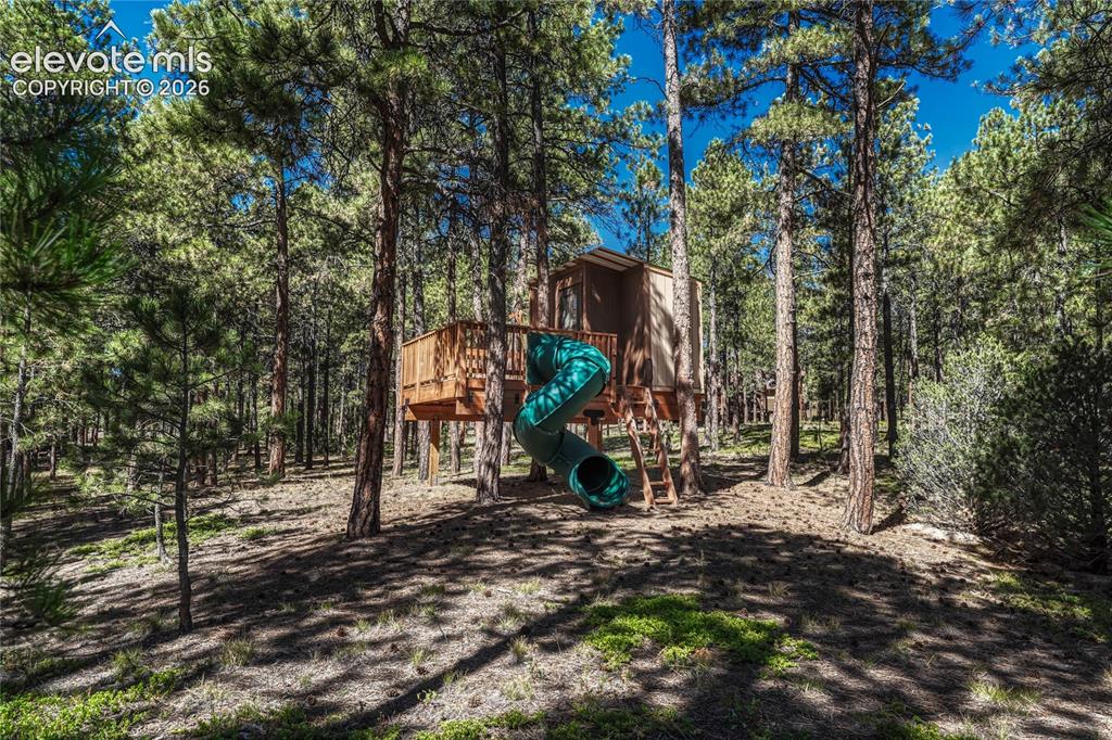 Image 43 of 49: View of jungle gym