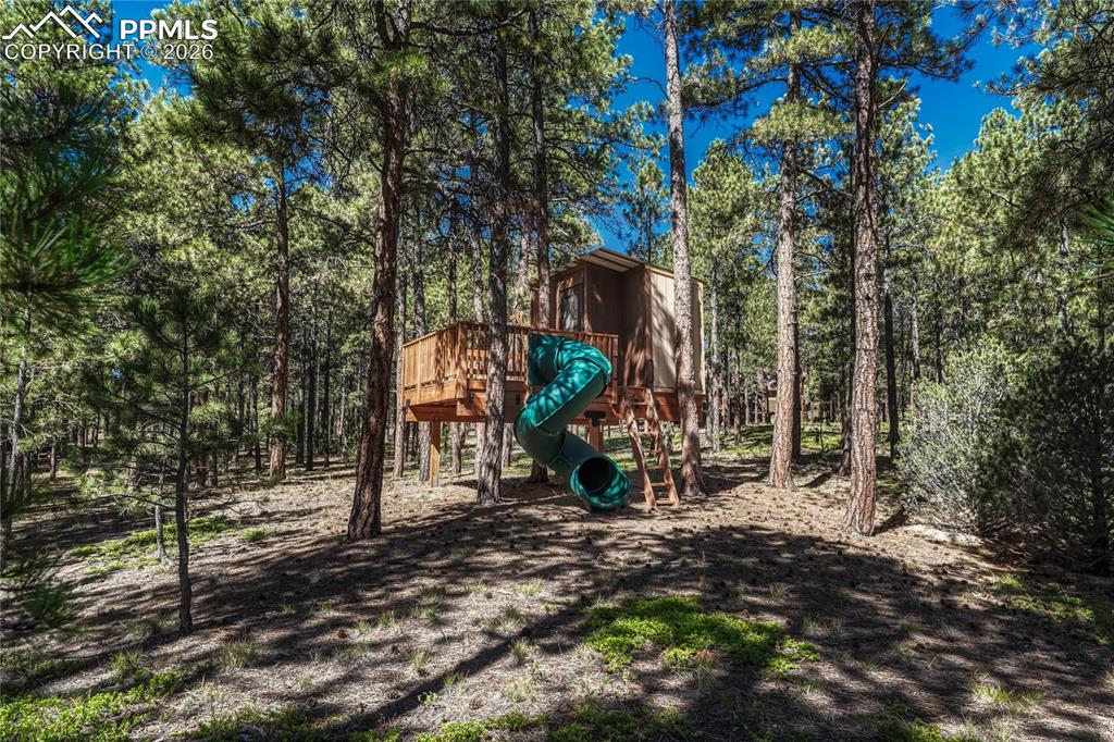 Image 44 of 49: View of jungle gym