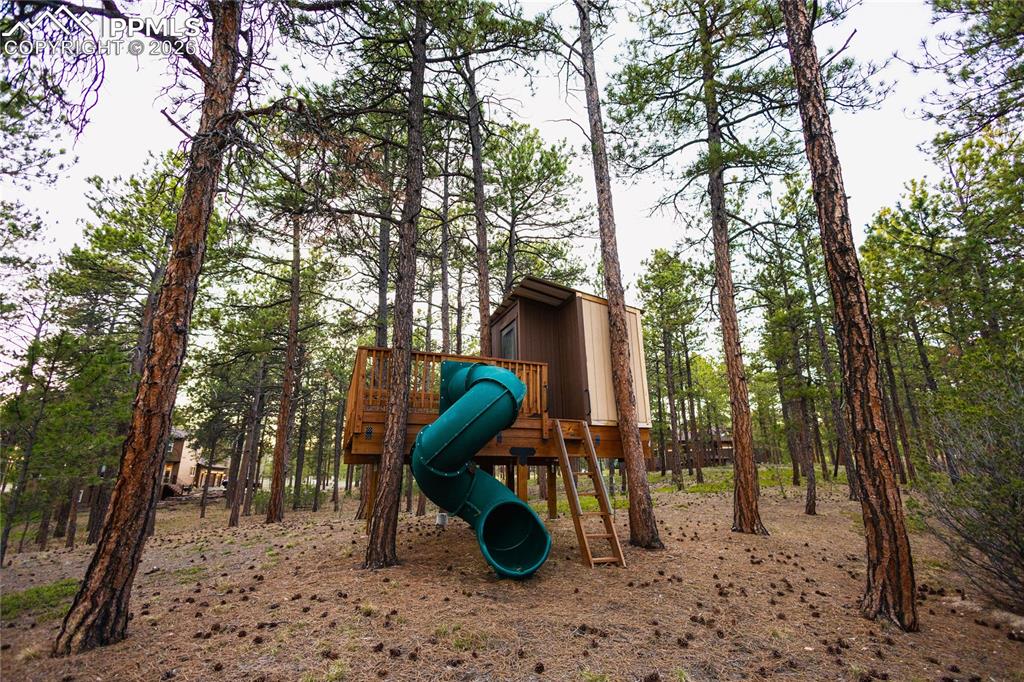 Image 48 of 49: Other