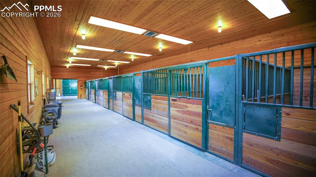 Image 36 of 38: Stable