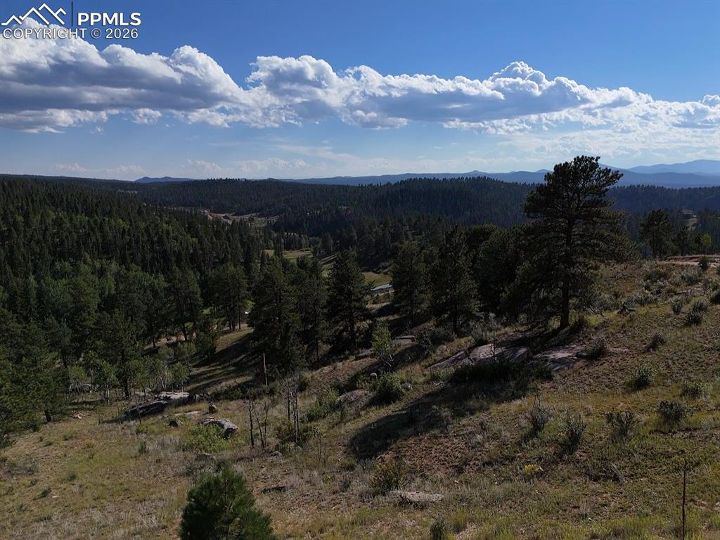 Image 38 of 38: View