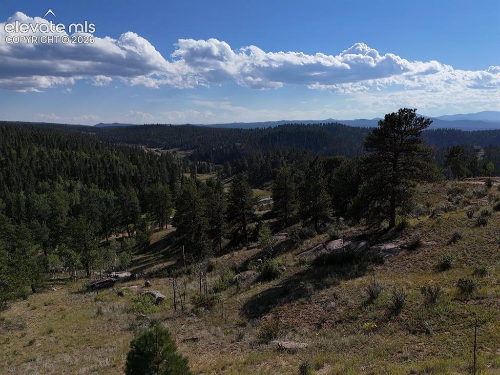 Image 43 of 46: View