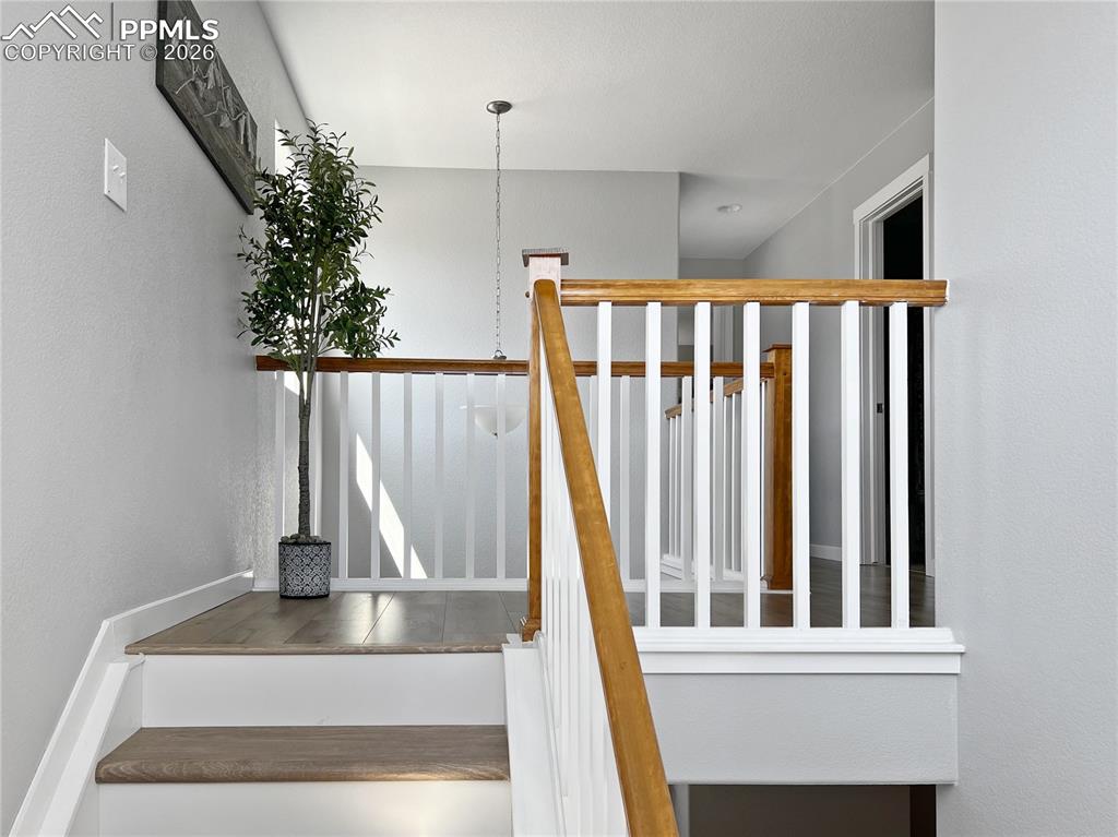 Image 19 of 40: No Description Available