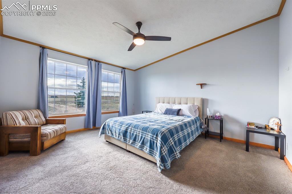 Image 14 of 39: Primary Bedroom