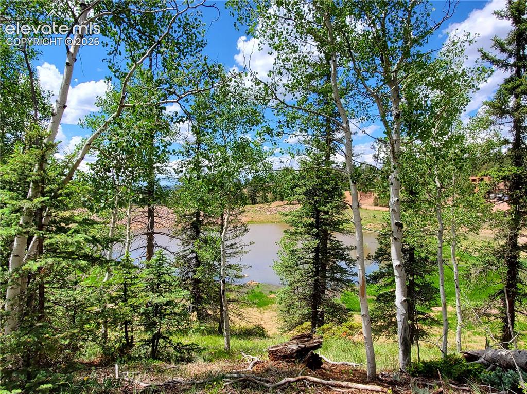 Caption: Natural landscape featuring a water body, diverse tree species, and varied topography under a blue s