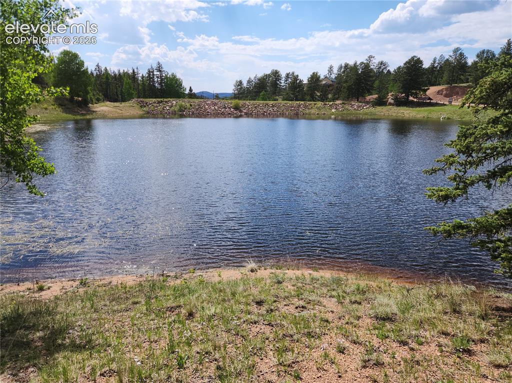 Image 14 of 39: Pond frontage with natural shoreline and surrounding treeline