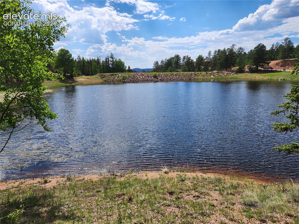 Image 15 of 39: Natural water feature with surrounding trees and a partial shoreline