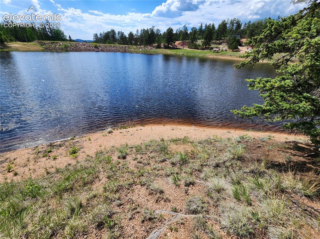 Image 16 of 39: Waterfront property featuring a sandy shore, mature trees, and natural land