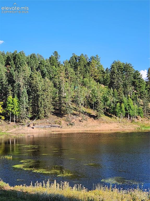 Image 21 of 39: Natural water feature with surrounding sloped terrain, abundant evergreen t