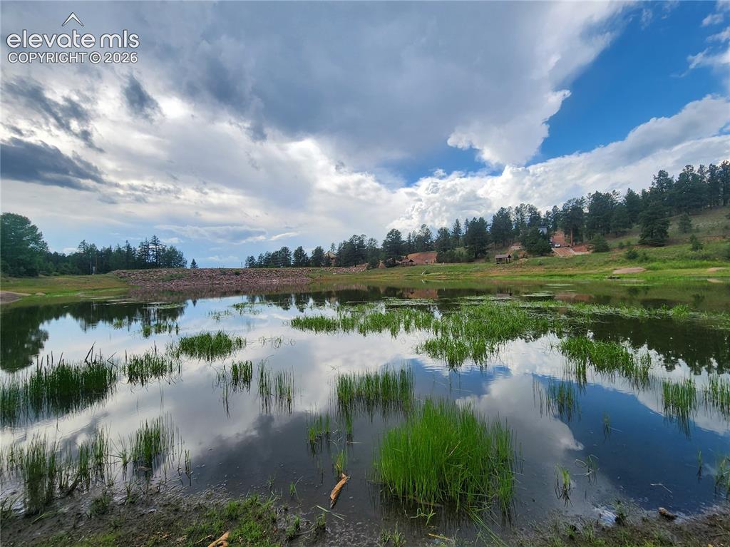 Image 24 of 39: Expansive natural water feature with aquatic vegetation and reflections of 