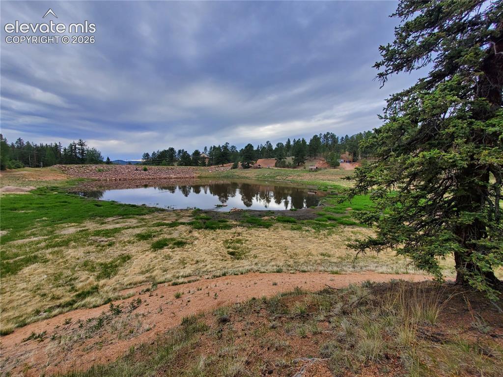 Image 3 of 39: Other
