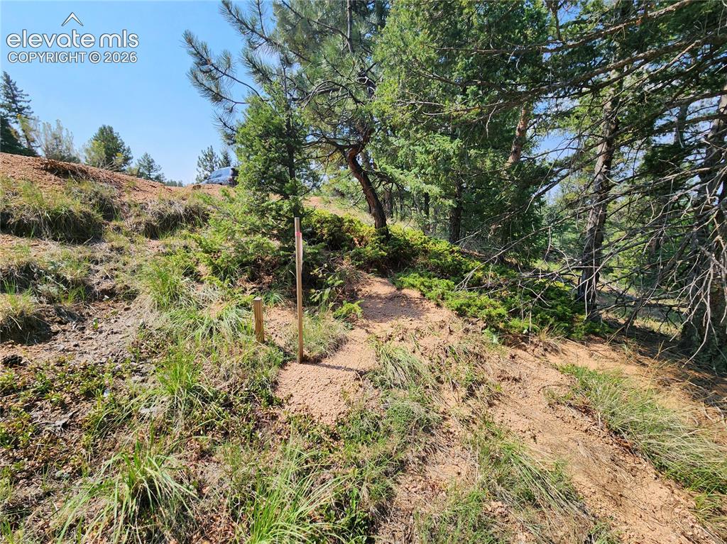 Image 31 of 39: Other